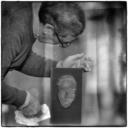 Portrait Harry Smeets