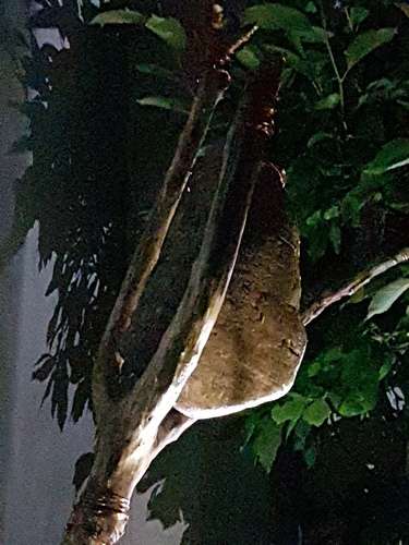 Portrait Ulrike Isenrath