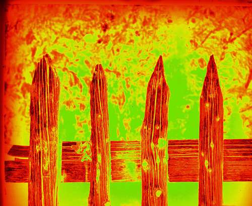 Portrait Walter Scheufen